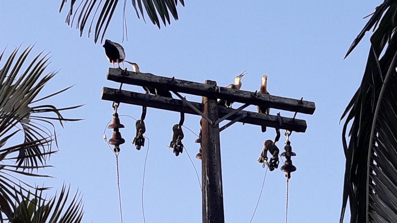 Pousada Dubaldo Holambra Buitenkant foto
